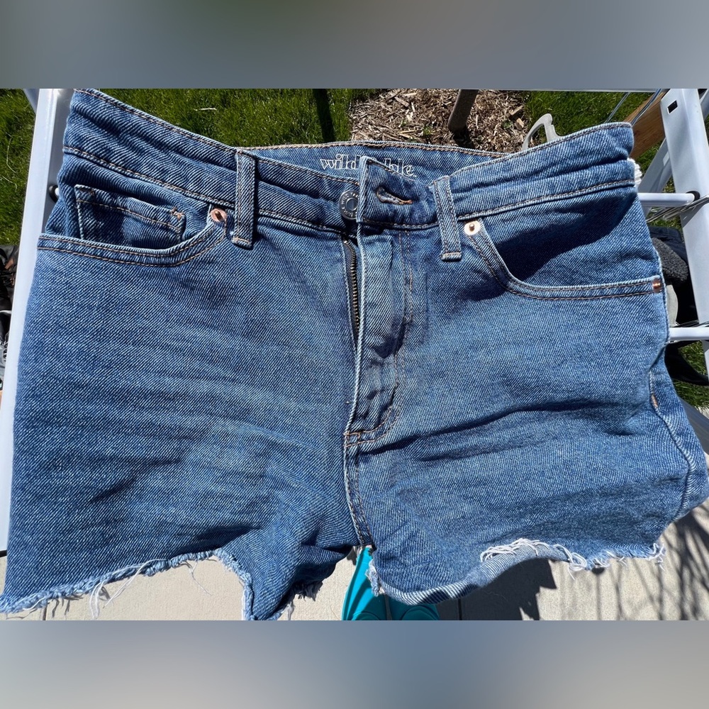 Wild Fable Mom shorts, size 2